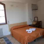 La Primula 3*