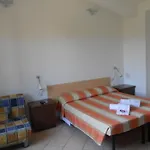 La Primula 3*