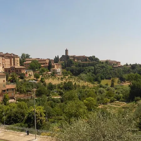 La Primula Siena